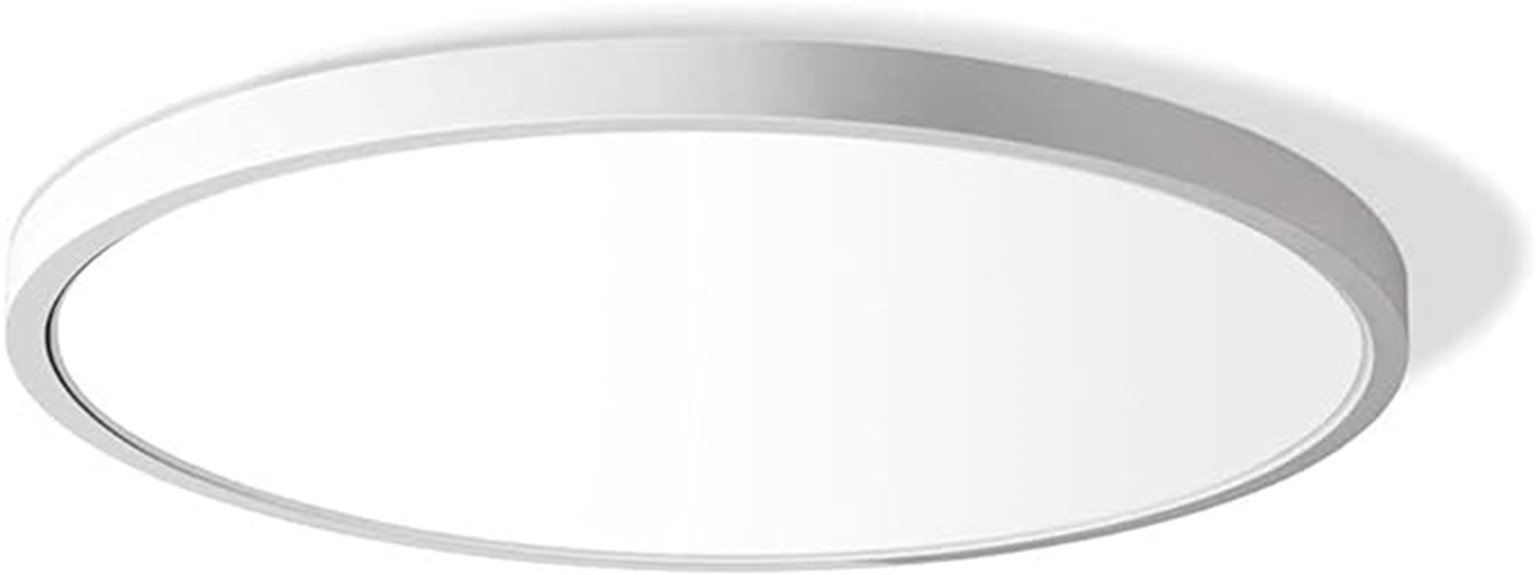 12 inch ceiling light