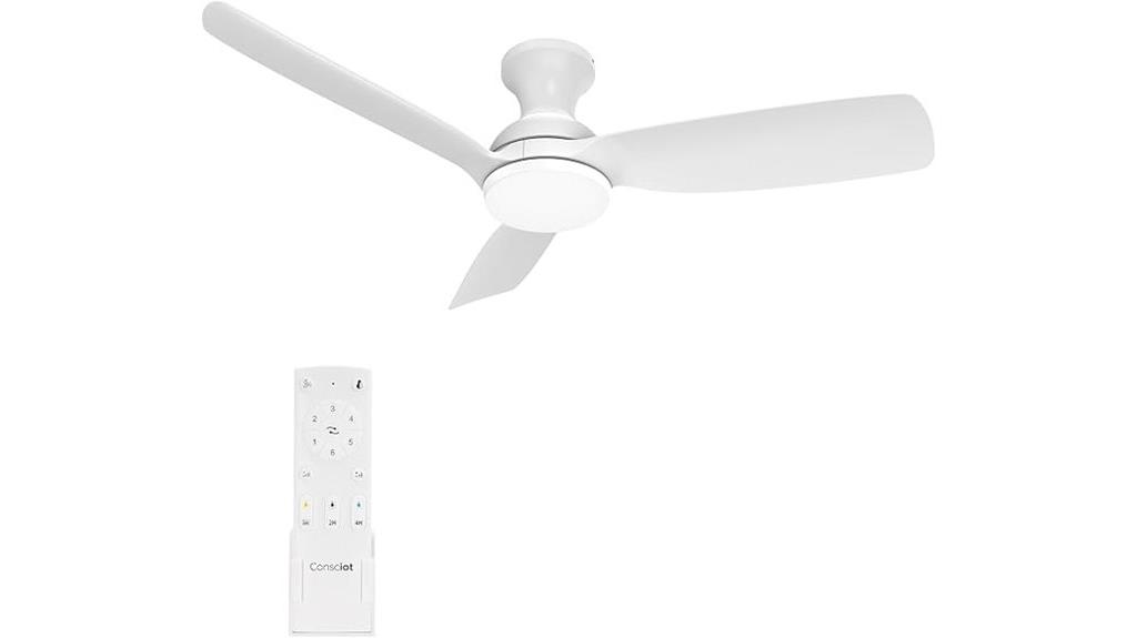 ceiling fan with lights