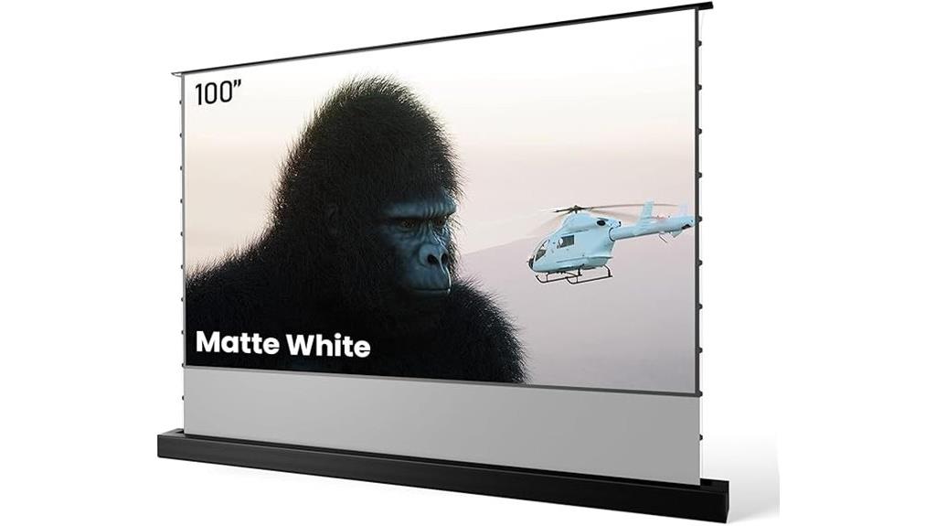 motorized matte white screen