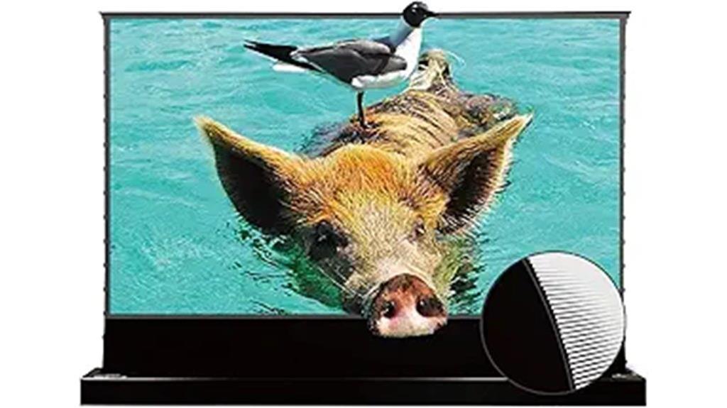 portable folding projection screen