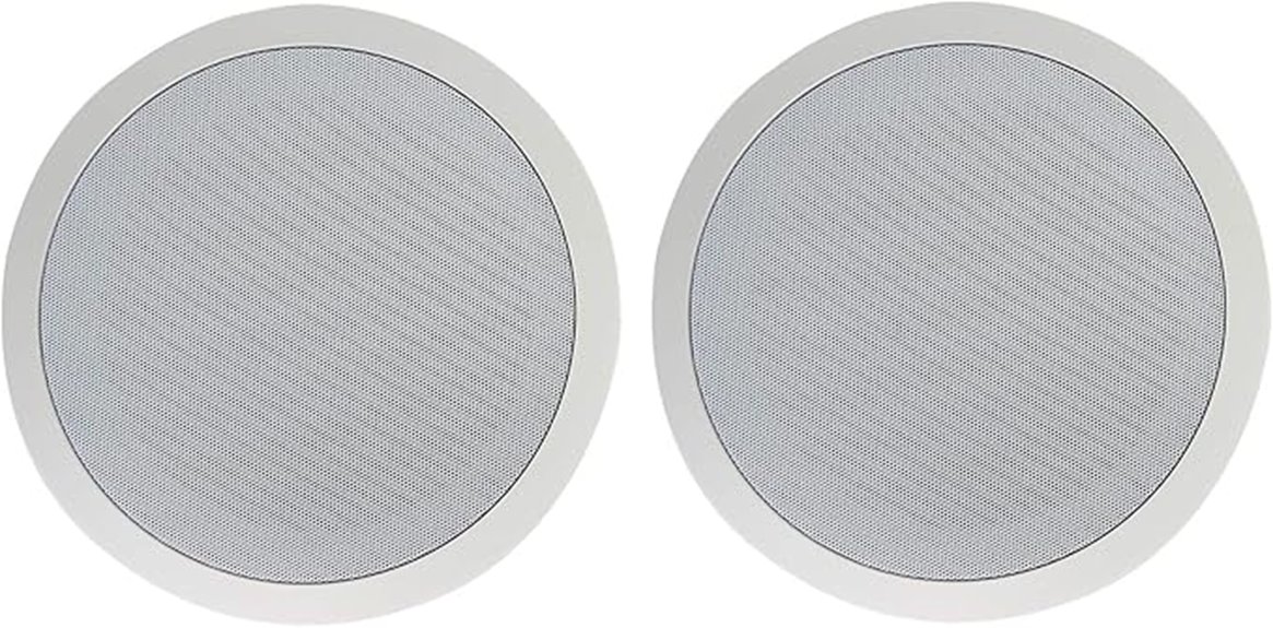 commercial ceiling speaker pair