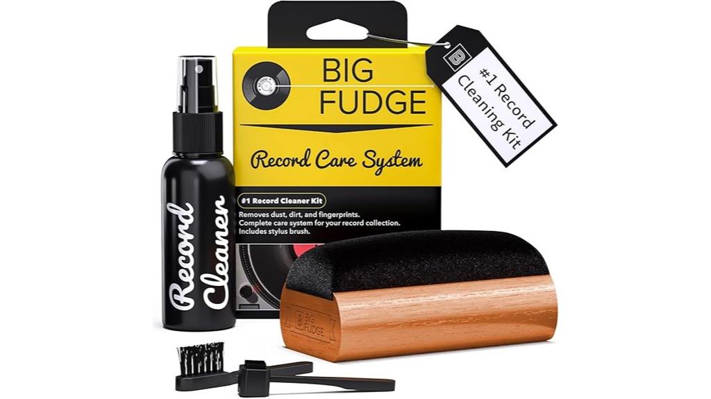 complete vinyl record cleaning kit