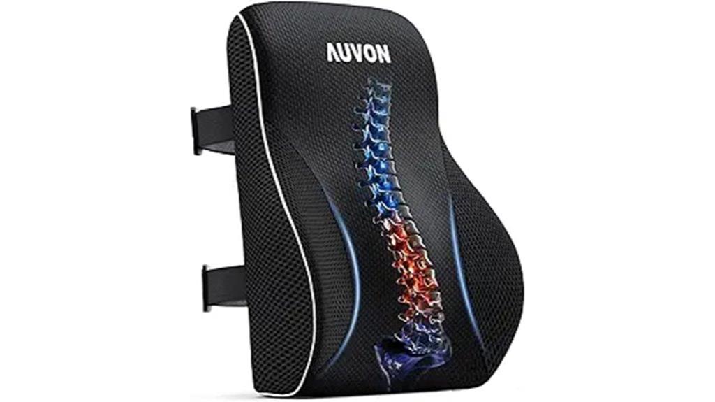 lumbar office chair pillow