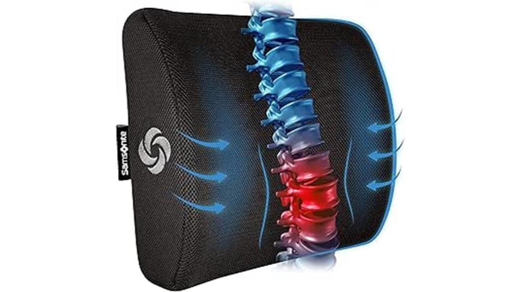 lumbar support pillow