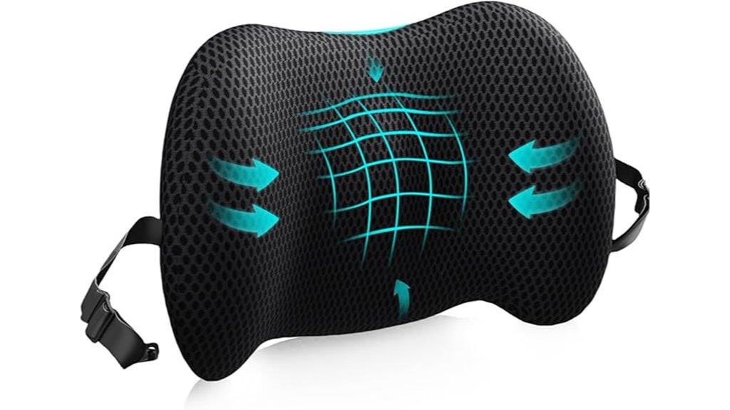 lumbar support pillow