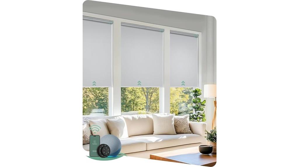 motorized blinds with remote