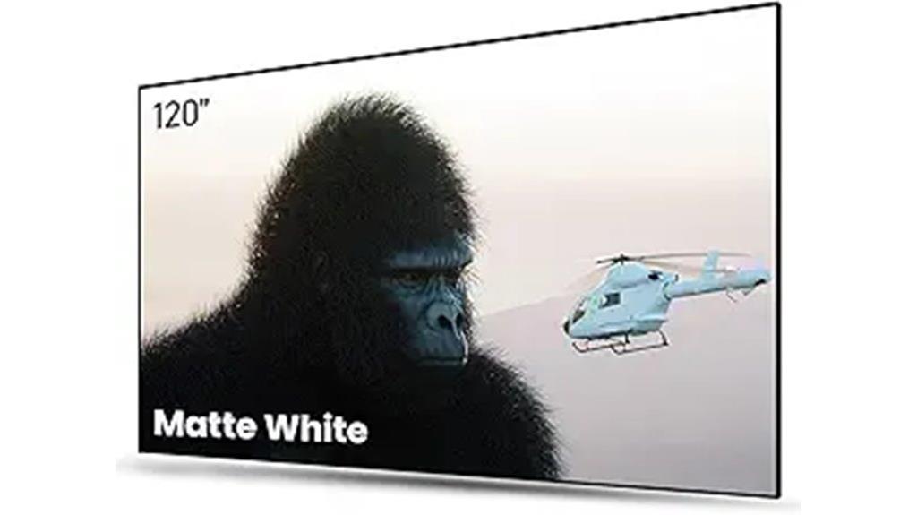 120 inch fixed projector screen