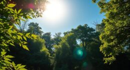 color gamut mode usage