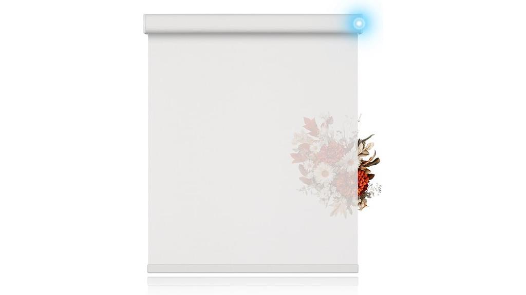 motorized blinds with remote