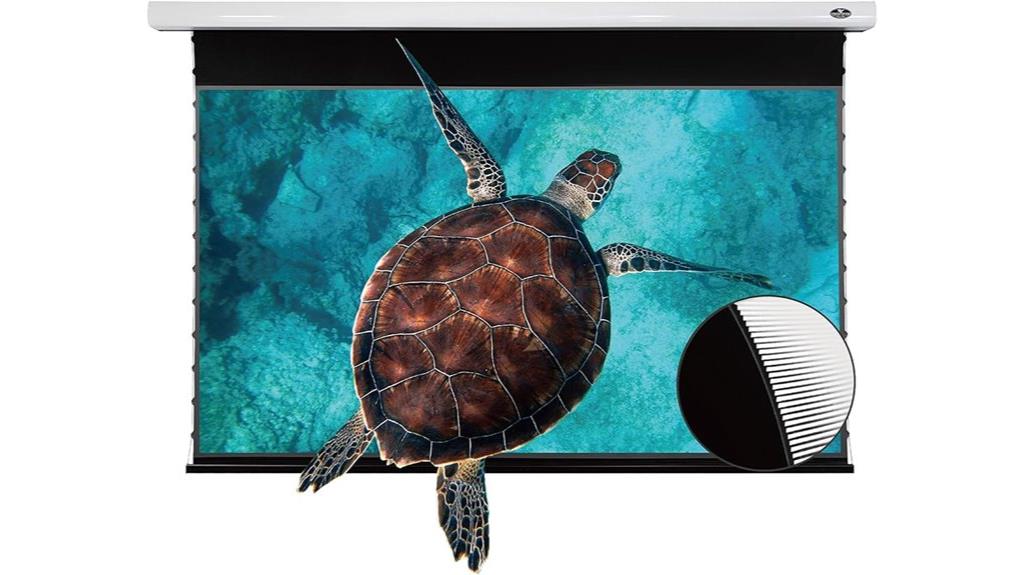 motorized drop down screen