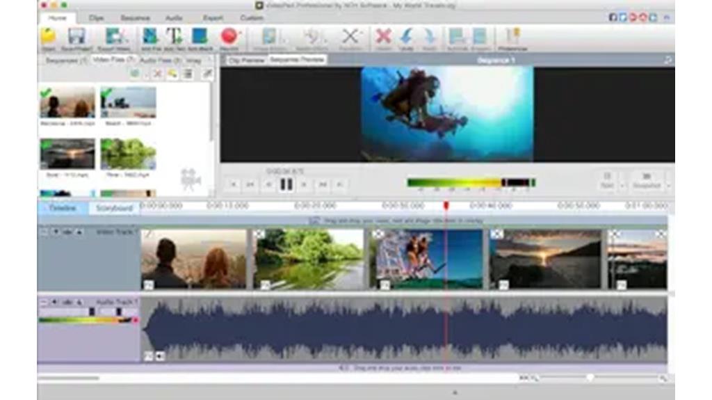 professional video editing software