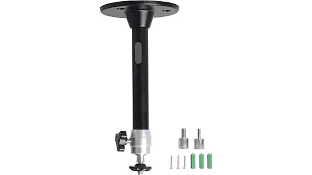 small black ceiling mount