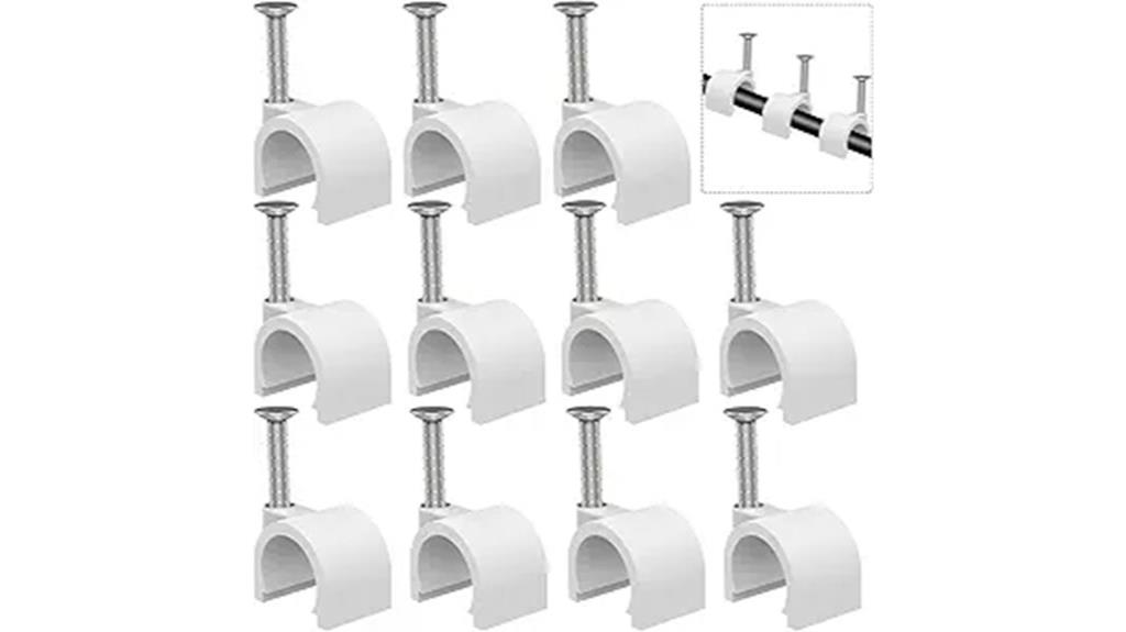 ten millimeter nail in clips