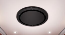 top ceiling mount options