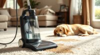 top portable pet carpet cleaners