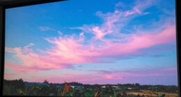 adjust projector color settings