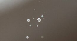 dust blobs appearance and management