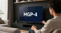 The Last MPEG-4 Visual Patent Has Expired